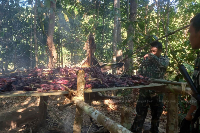 Suspects in killing of tigers surrender