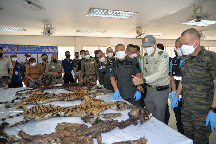 Accused tiger killers face 10 charges