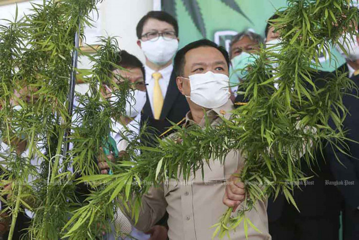 Anutin looks to delist pot