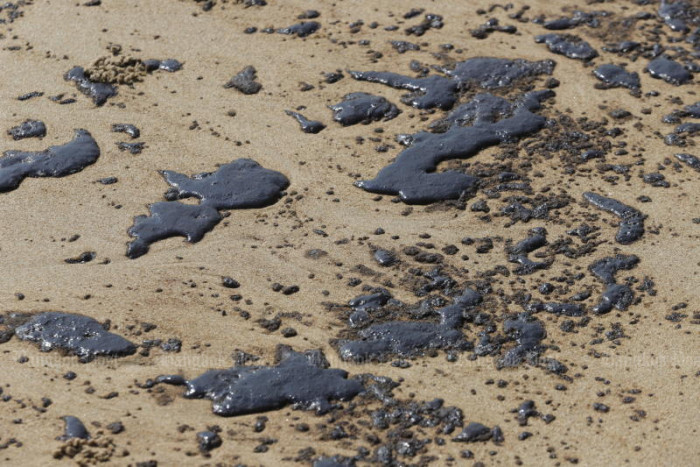Fishing crews fear 5-year recovery after oil spill - Vimarsana News