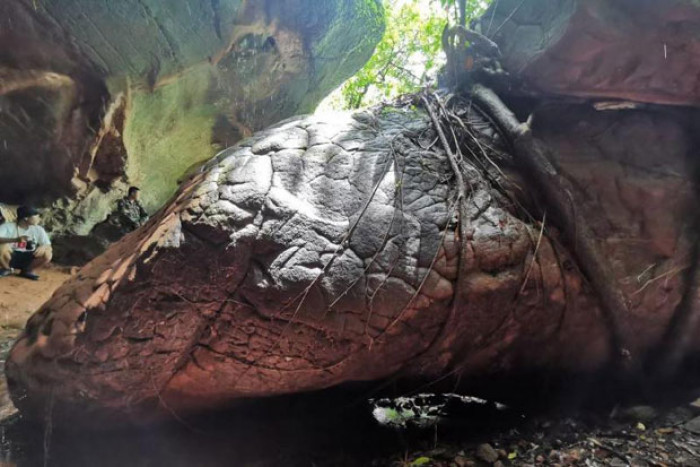 Staff transferred after Naga Cave congestion - Vimarsana News