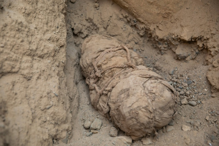 Ancient mummies of children, likely sacrificed, unearthed in Peru - Vimarsana News