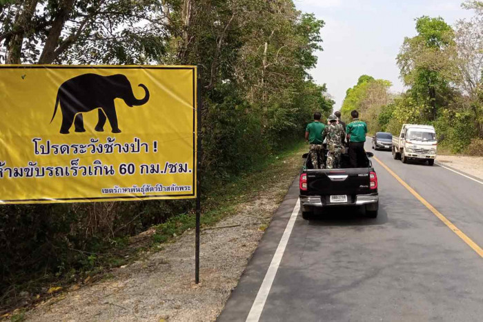 Give way to elephants, or go to jail - Vimarsana News