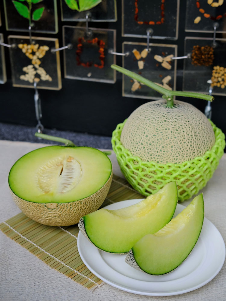 Bangkok Post Chia Tai Farm launches two Premium Japanese Melon