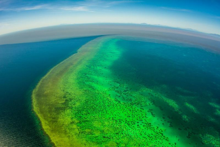Great Barrier Reef suffers 'widespread' bleaching event - Vimarsana News
