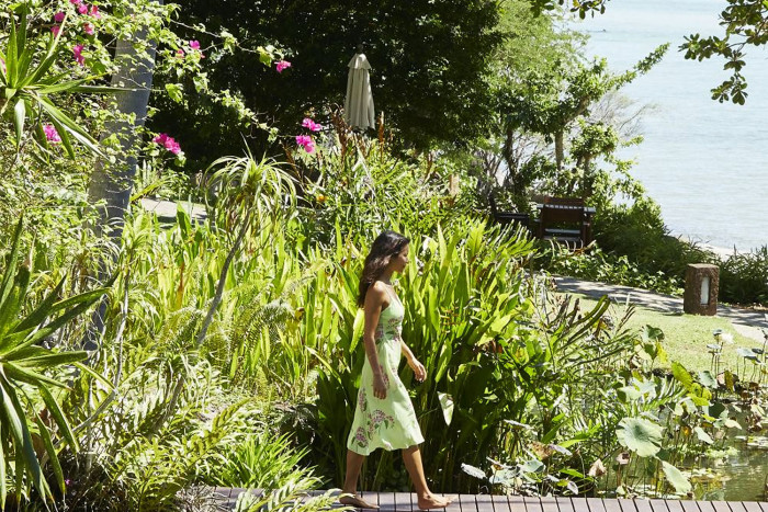 Tend your bloom - Vimarsana News