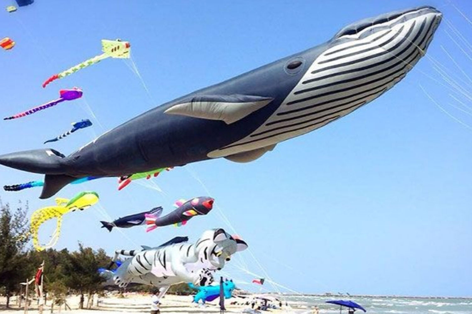 Cha-am set to host kite festival