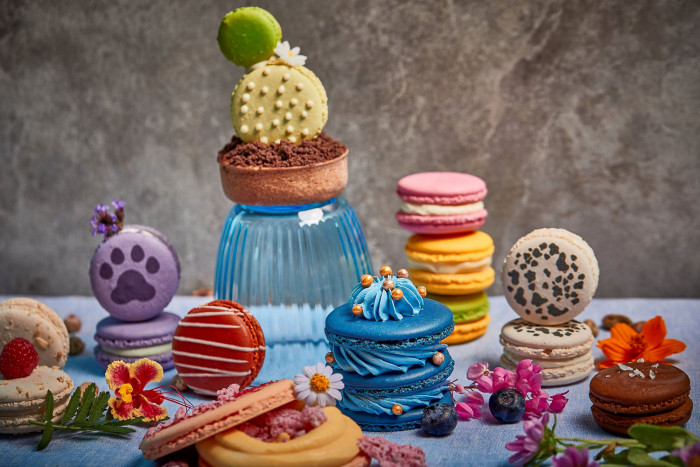 MAY DAY! MAY DEAL! EXCLUSIVELY FOR YOU AT KIMPTON MAA-LAI BANGKOK - Vimarsana News