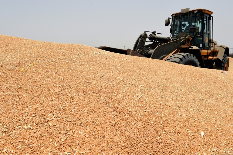 The United Nations has called a meeting to deal with the worsening global food crisis, exacerbated by the war in Ukraine as well as India's ban on wheat exports. The United Nations has called a meeting to deal with the worsening global food crisis, exacerbated by the war in Ukraine as well as India's ban on wheat exports.