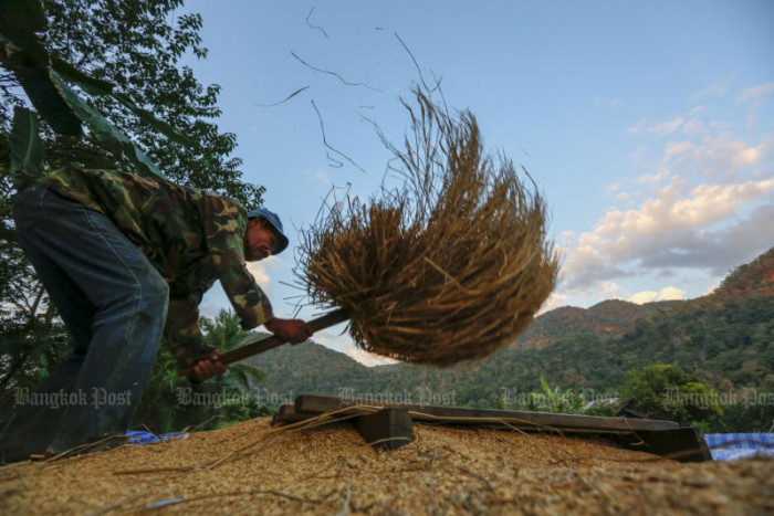 Hiking of rice price by Thailand, Vietnam 'impossible' - Vimarsana News