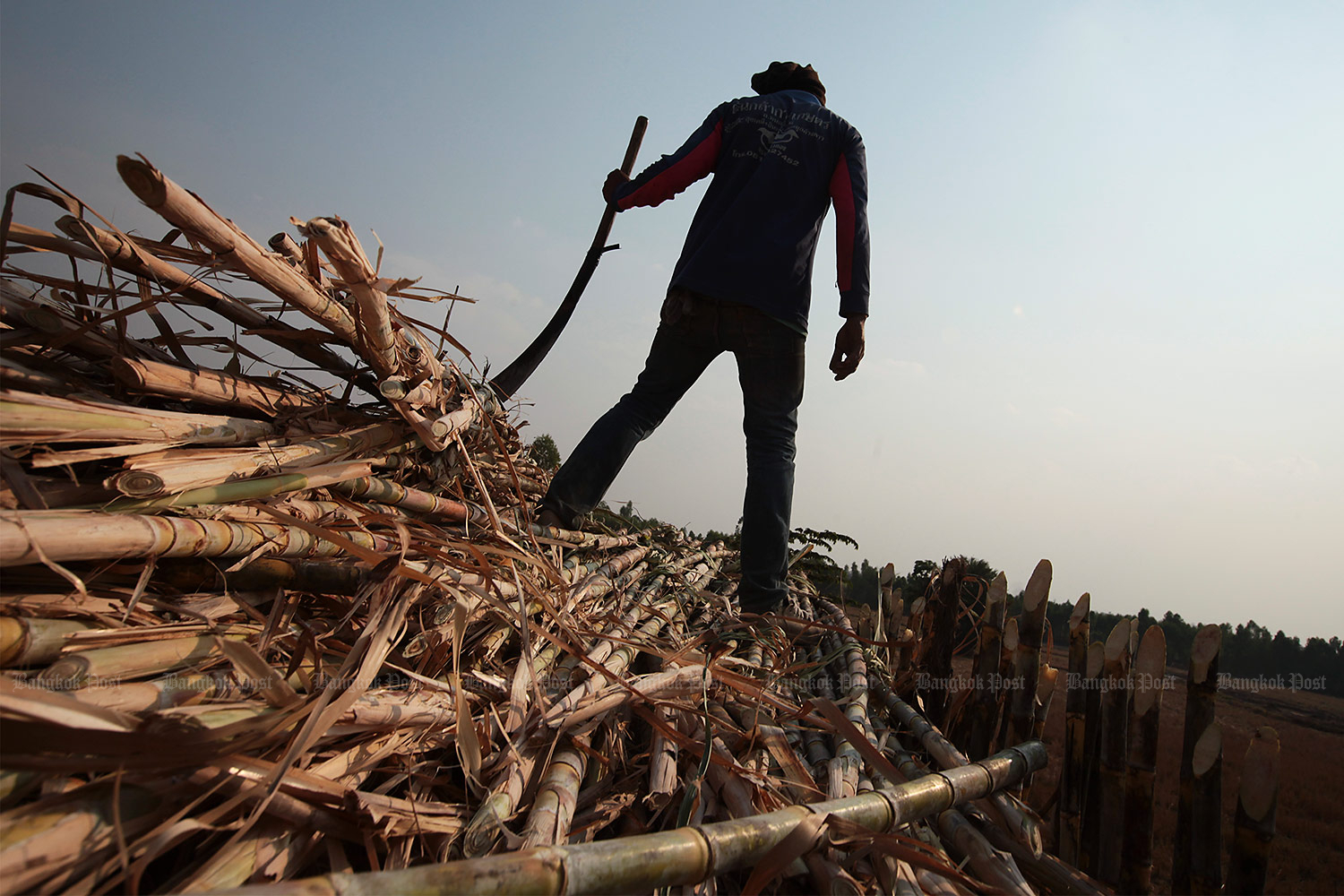 Sugar cane loans to get state subsidy