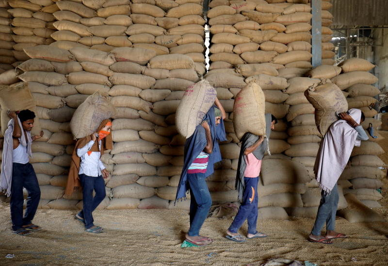 Workers carry sacks of wheat for sifting at a grain mill on the outskirts of Ahmedabad on May 16, 2022. India is one of the countries restricting exports. (Reuters photo)