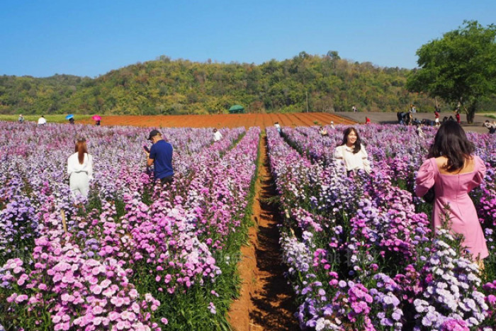 Thai tourist trips to rise dramatically - Vimarsana News