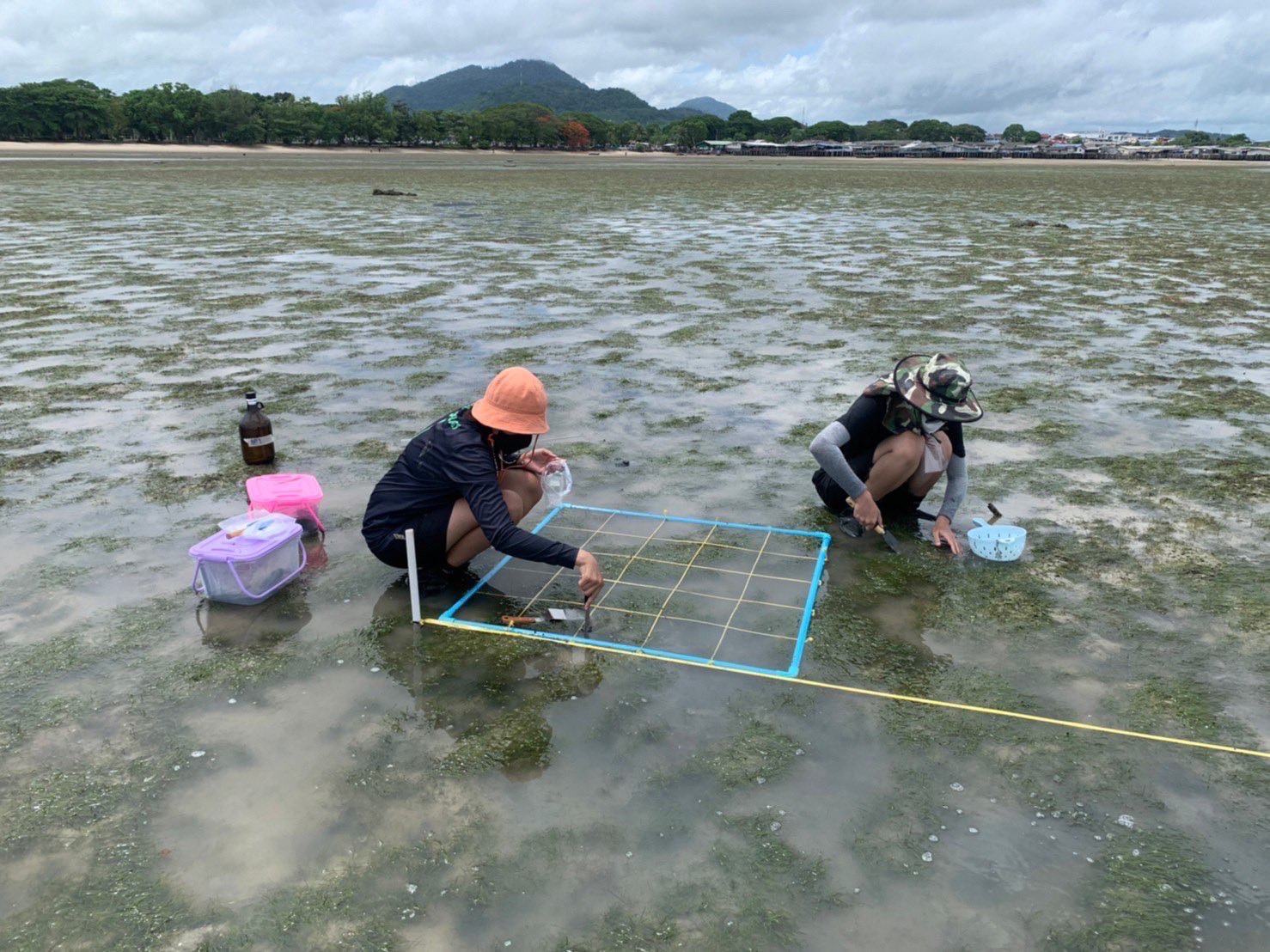 SPRC details oil spill payouts in Rayong