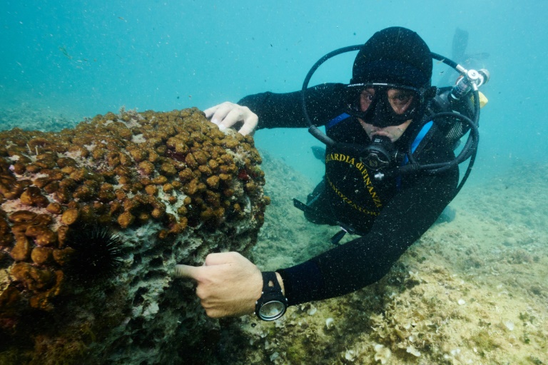 Poaching of 'status symbol' date mussels threatens Italy's coasts