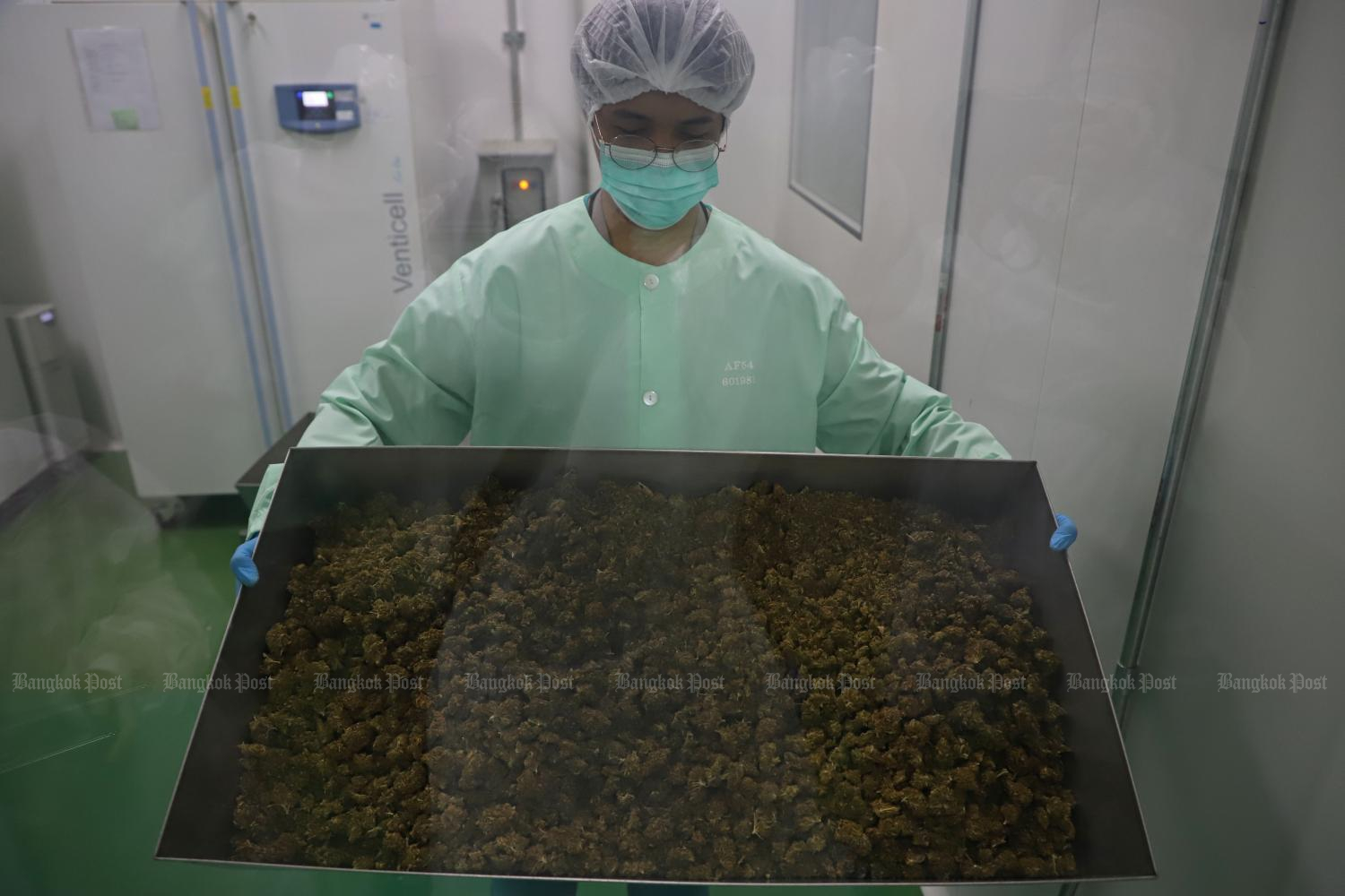 A worker at a processing facility of the Government Pharmaceutical Organization in Pathum Thani. Photo by Varuth Hirunyatheb