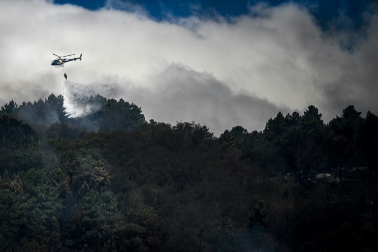 Over 1,000 firefighters were still mobilised around the Serra da Estrela blaze in Portugal. (AFP Photo) Over 1,000 firefighters were still mobilised around the Serra da Estrela blaze in Portugal. (AFP Photo)