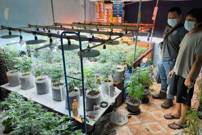 New bill outlines limits on ganja use - Vimarsana News