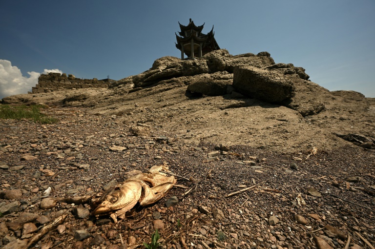 Southern China has recorded its longest sustained period of high temperatures and low rain "with the widest in scope and the highest average intensity since 1961"