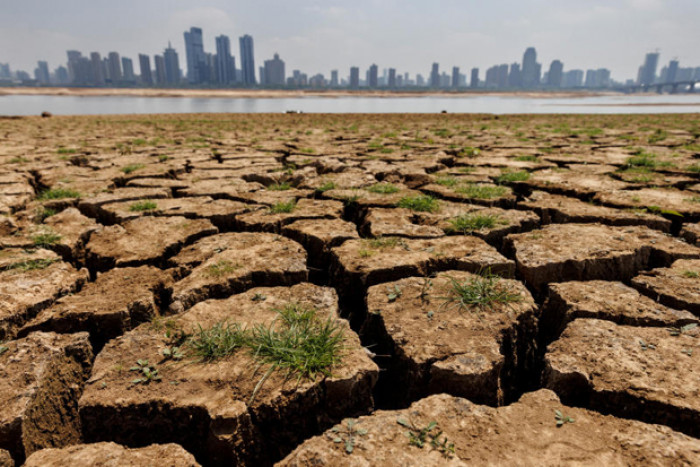 China's record-breaking drought hits major rice-growing regions - Vimarsana News