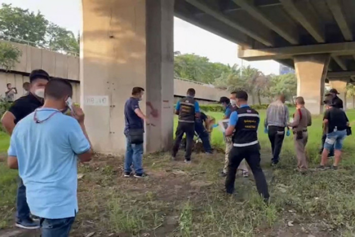 Woman's body parts buried under expressway in grisly murder - Vimarsana News
