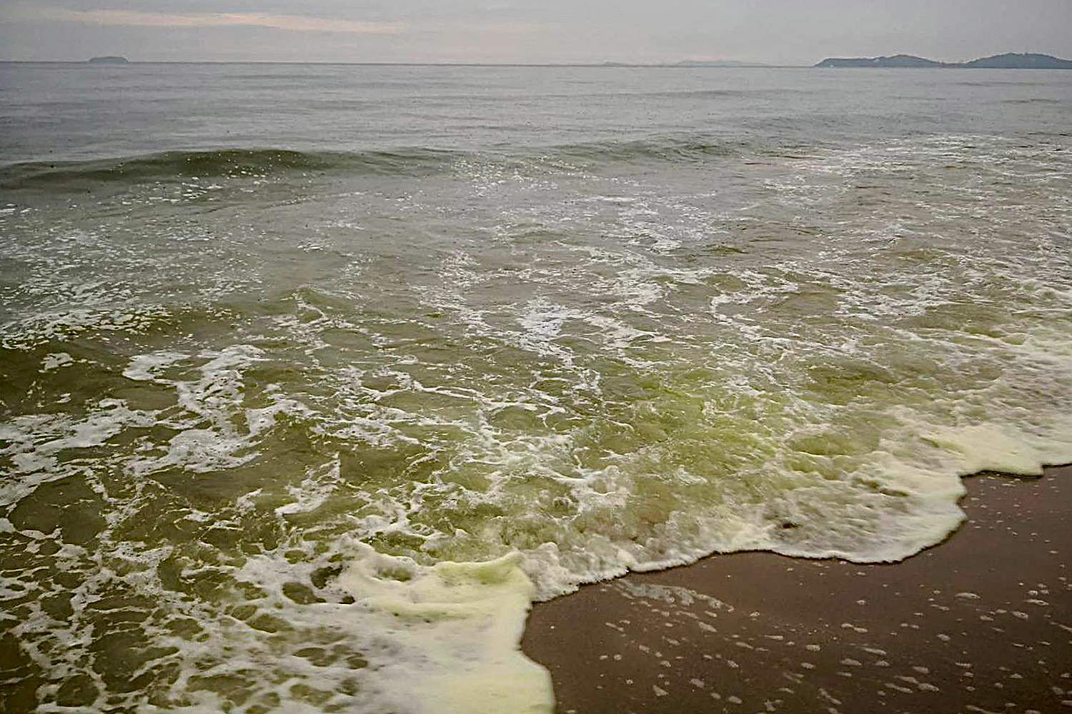 Algal bloom is seen along a 3-km stretch of the coast in Rayong, emitting a foul odour.  (Photo by Department of Marine and Coastal Resources)