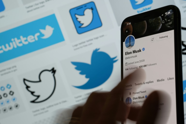 Elon Musk asked a Delaware judge to halt Twitter's lawsuit against him over their troubled takeover negotiations Elon Musk asked a Delaware judge to halt Twitter's lawsuit against him over their troubled takeover negotiations
