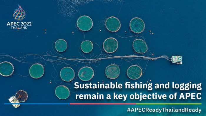 Sustainable fishing and logging remain a key objective of APEC - Vimarsana News