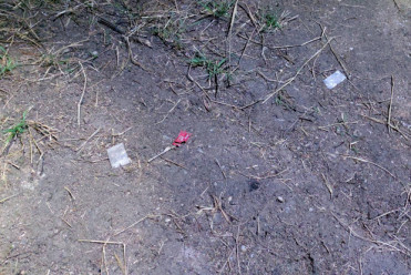 Pattaya nightclub facing closure after police raid in Pattaya