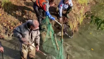 Italian volunteers try to save stranded fish