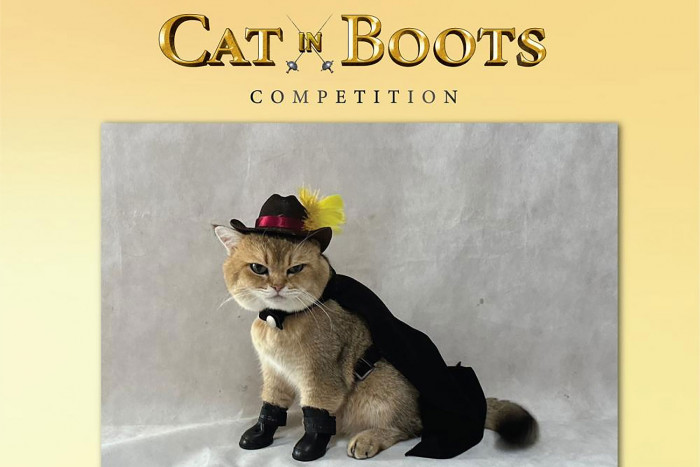 Upload kitty mugshots to win prizes - Vimarsana News