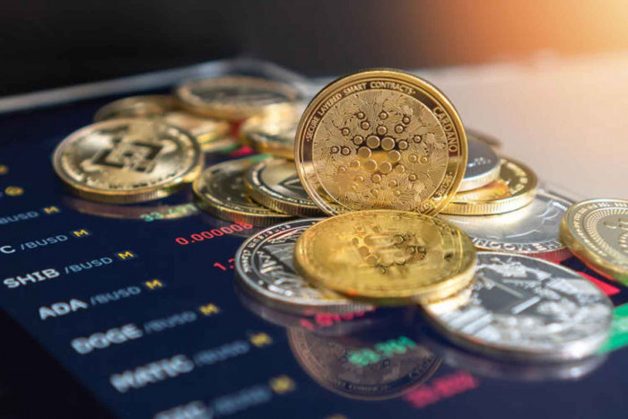 Investors desert Binance - Vimarsana News