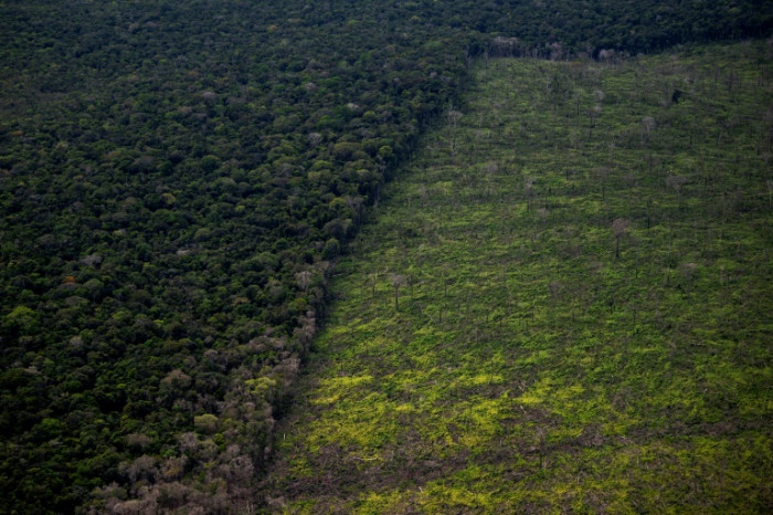 Developing nations demand more money at crunch UN biodiversity talks - Vimarsana News