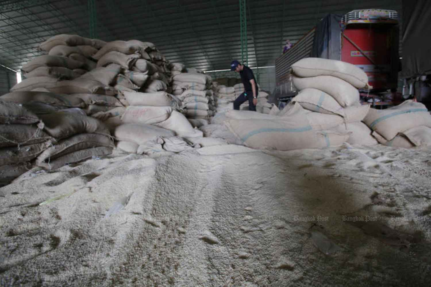 A Public Anti-Corruption Commission official inspects rice stocks at a warehouse in Sukhothai’s Si Samrong district as part of investigation into alleged tampering of rice stocks in 2017. (Photo: Apichit Jinakul)