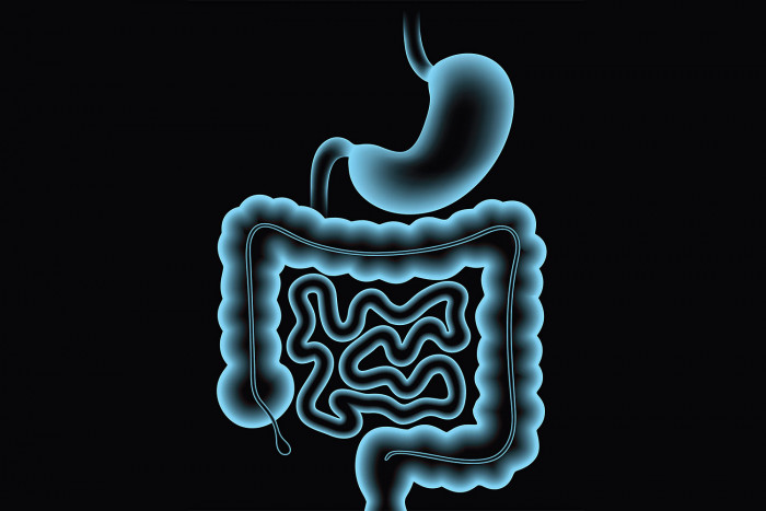 Colonoscopy prep is unpleasant, but necessary - Vimarsana News