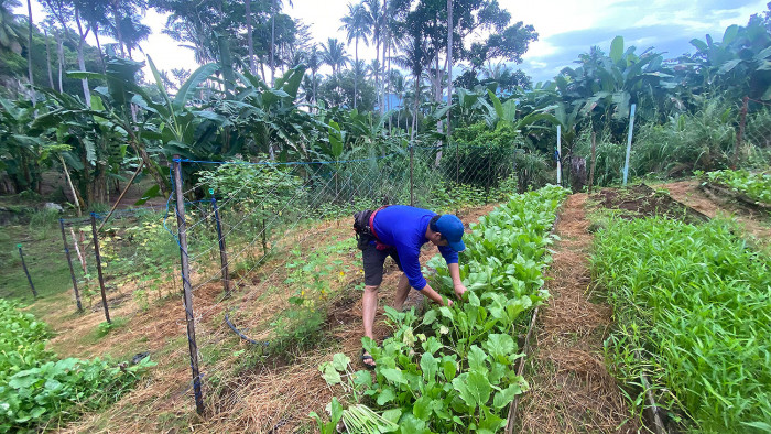 The next Green Revolution will be digitised - Vimarsana News