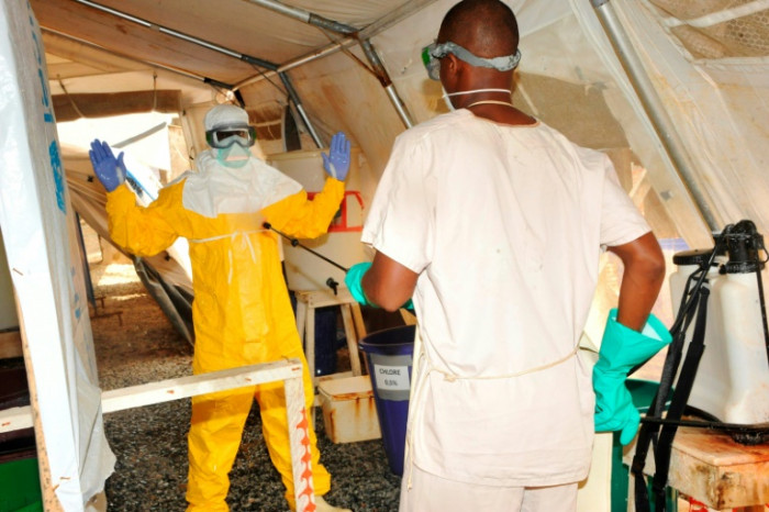 WHO plans emergency meeting on Marburg outbreak - Vimarsana News