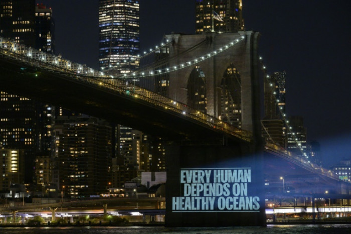 All hands on deck as UN meets to protect high seas - Vimarsana News