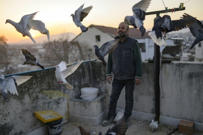 Bird man in quake zone still tends to flock - Vimarsana News