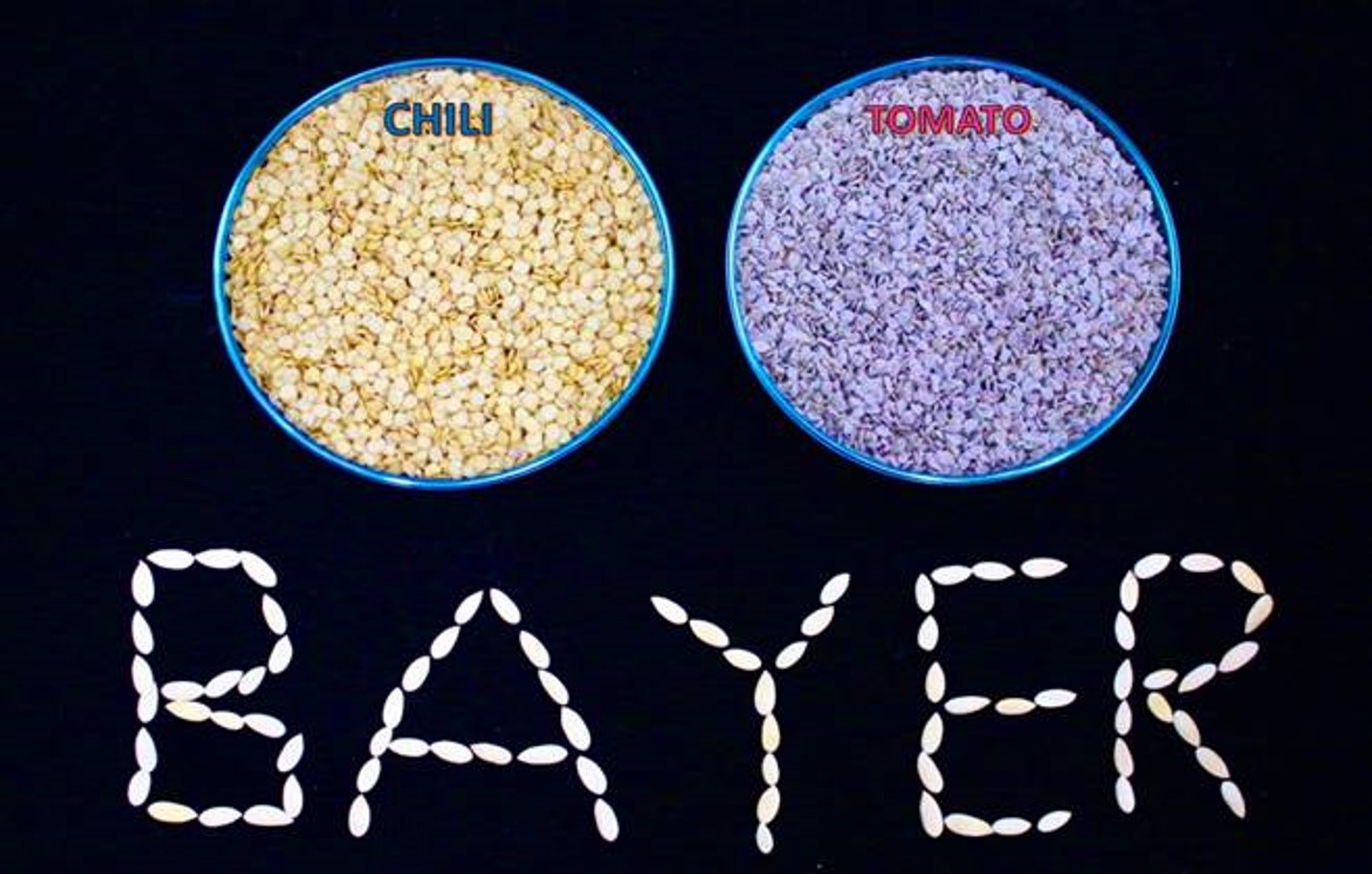 Bangkok Post Bayer receives Thailand’s first Accredited Seed Test