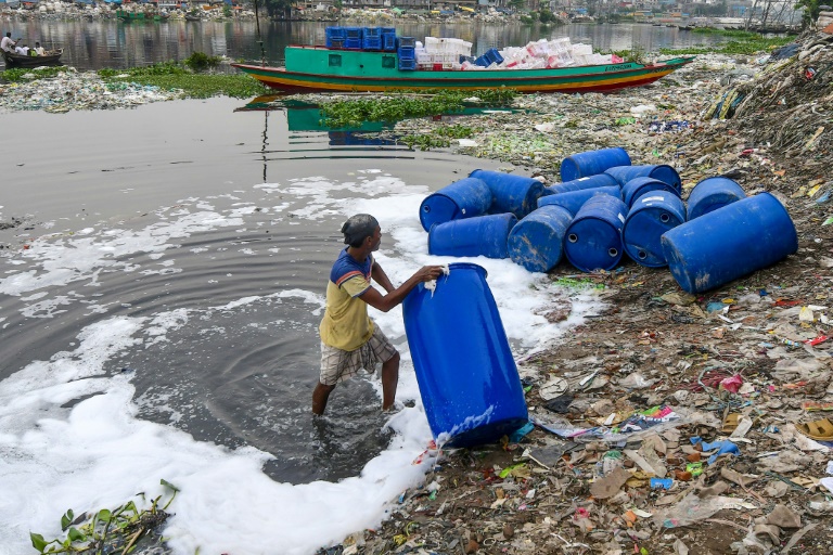 Global wildlife contaminated by 'forever chemicals'