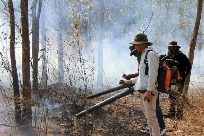 Wildfire hotspots set daily record - Vimarsana News