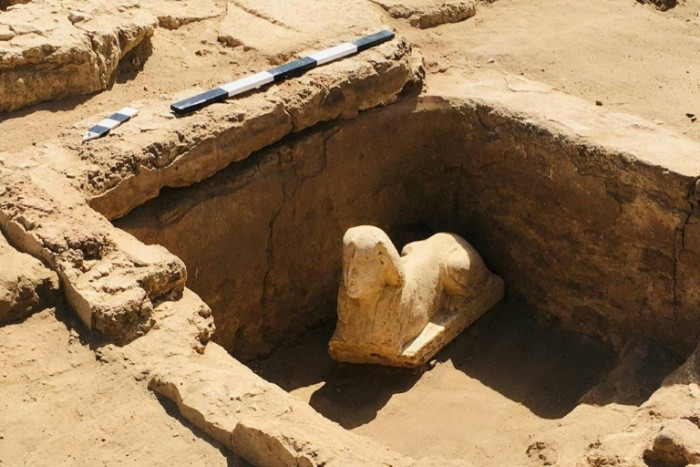 Smiley, dimpled sphinx unearthed in Egypt - Vimarsana News