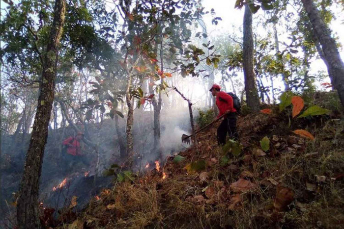 National Environment Board bans burning across North - Vimarsana News
