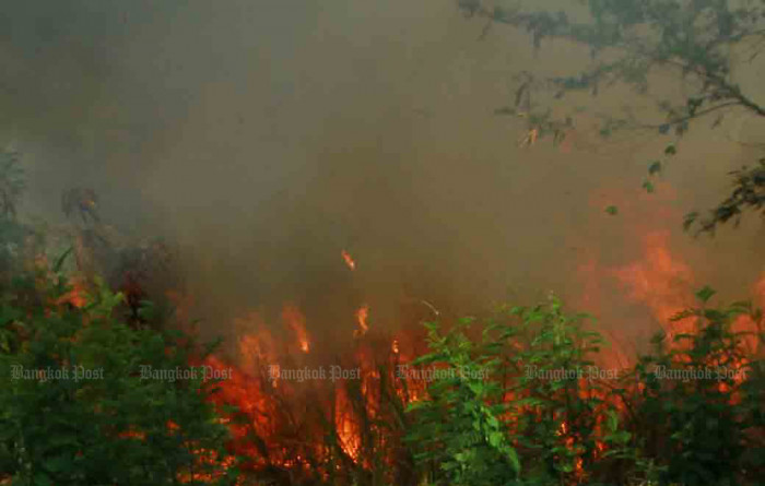 Cigarette blamed for polluting brush fire - Vimarsana News