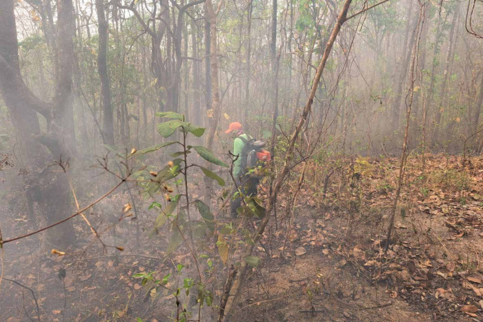 Thick smog only in upper North - Vimarsana News