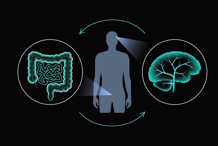 Research says gut-brain axis plays role in mental health - Vimarsana News