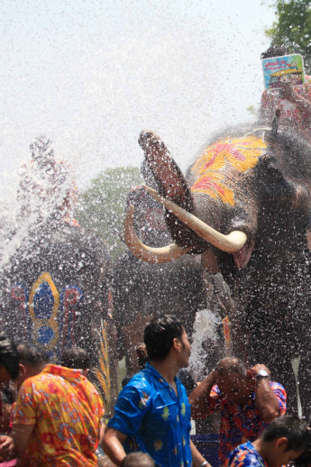 Image - Songkran festival