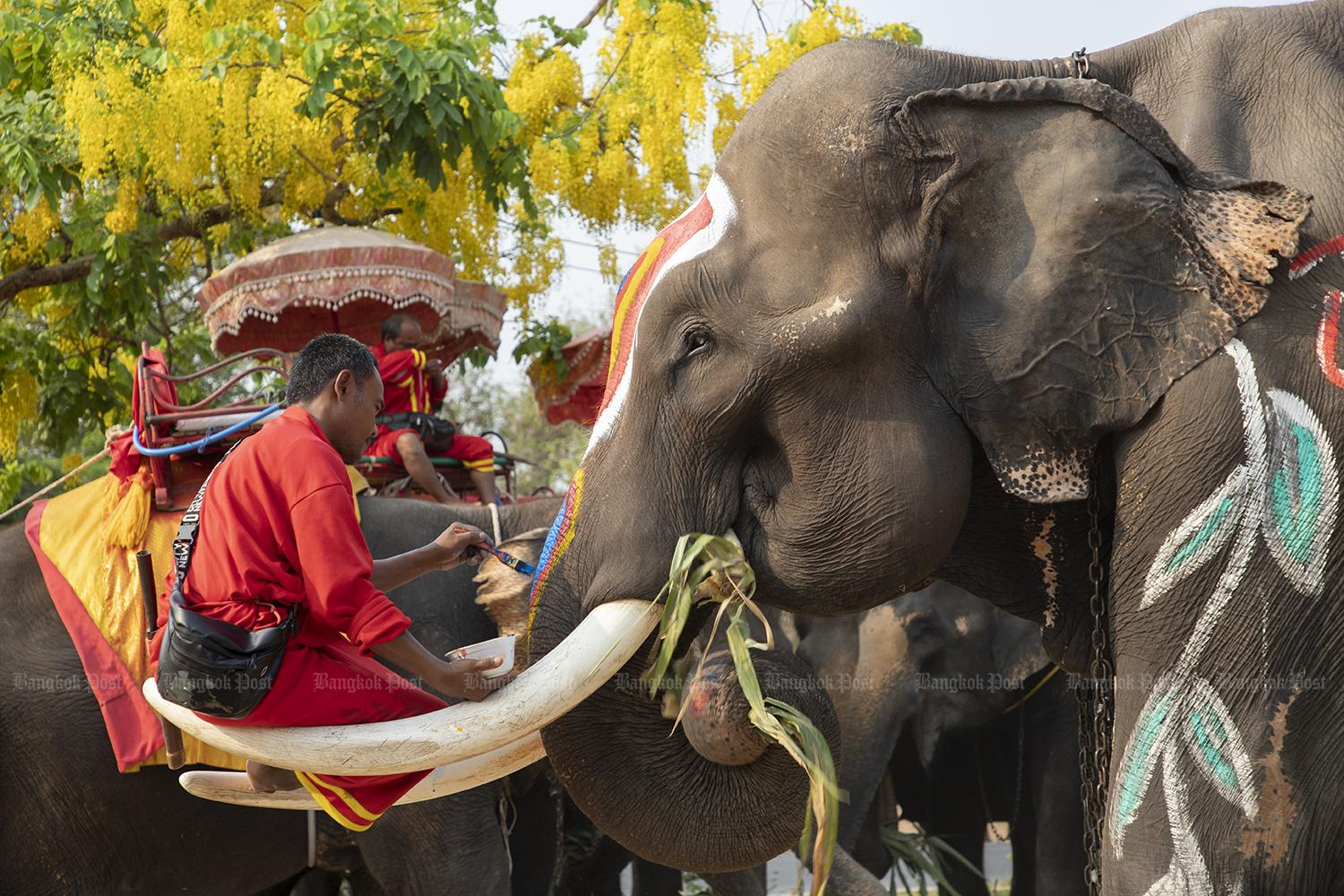 Bangkok Post Photo Gallery Bangkok Post