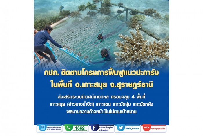 PWA's coral reef rehabilitation project around Koh Samui shows satisfactory progress - Vimarsana News
